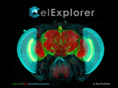 CelExplorer | 細探生物科技