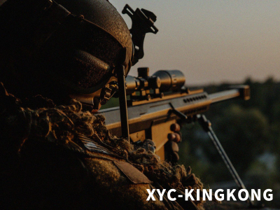 XYC-Kingkong 新亞成國際