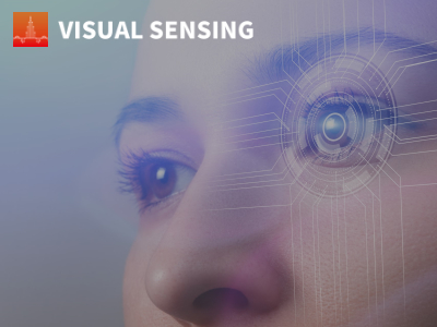Visual Sensing 勝薪科技